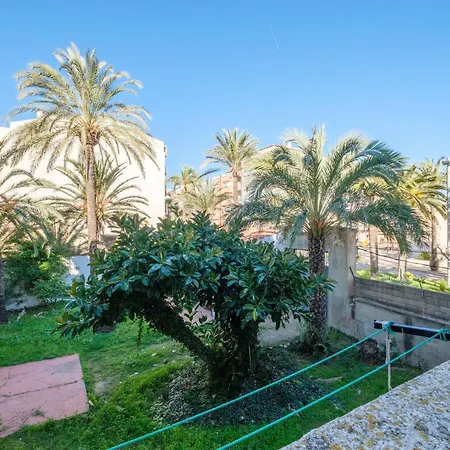 Palmeras 2 Apartament
